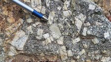 Monzogranodiorites à petits cristaux de feldspath
