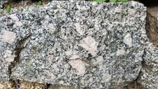 Monzogranodiorites à petits cristaux de feldspath