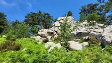Gabbro Granite Alcalin