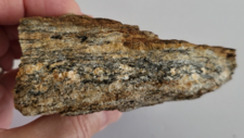 Migmatite Granodiorite