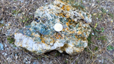 Gneiss