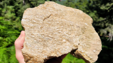 Gneiss