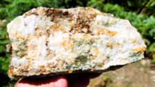 Gneiss