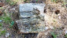 Gneiss