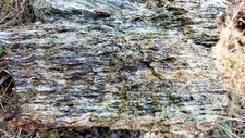 Gneiss