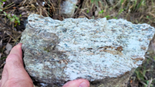 Gneiss