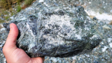 Serpentinites 