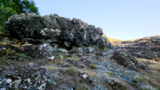 Serpentinites 