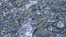 Serpentinites 