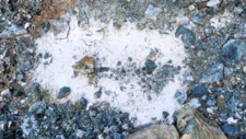 Serpentinites 