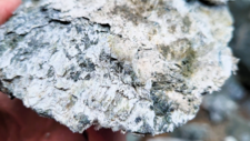 Serpentinites 