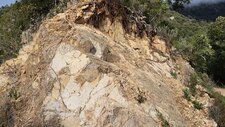 Leucomonzogranite