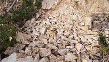 Corse - Olivese - Leucomonzogranite