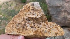 Leucomonzogranite