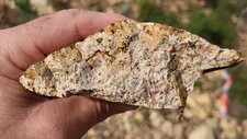 Leucomonzogranite