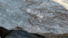 Dacite