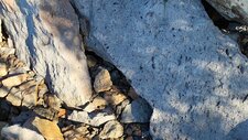 Dacite
