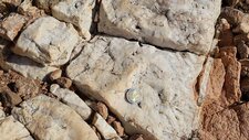 Veine de Quartz sur Granite Perthitique à Arfvedsonite