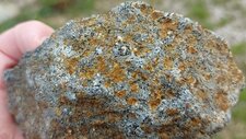 Troctolite