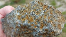 Corse - Pila Canale - Troctolite