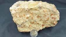 Troctolite