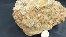 Troctolite
