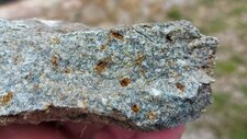 Troctolite