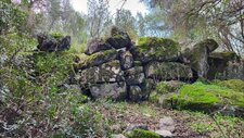 Troctolite