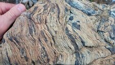 Migmatite