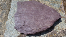 Pélite rouge