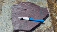 Pélite rouge