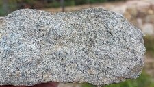 Tonalite