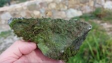 Tonalite