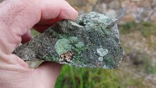 Tonalite