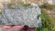 Tonalite
