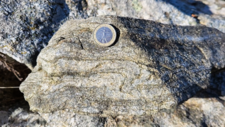 Gneiss