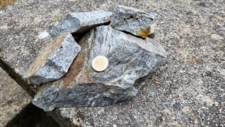 Gneiss