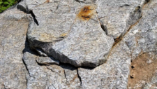 Gneiss