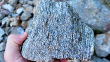 Gneiss