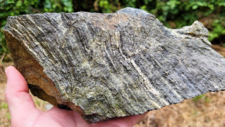 Gneiss
