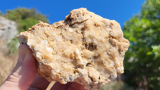 Marbre Cipolin & Calcite Miel