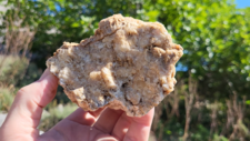 Marbre Cipolin & Calcite Miel