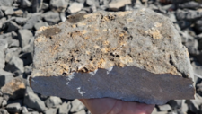 Marbre Cipolin & Calcite Miel