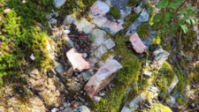 Episyénites à Albites