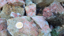 Episyénites à Albites