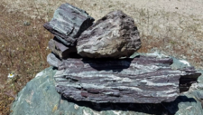 Radiolarites