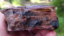 Radiolarites