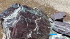Radiolarites