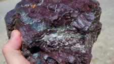 Radiolarites