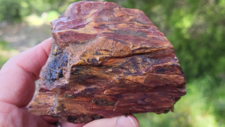 Radiolarites